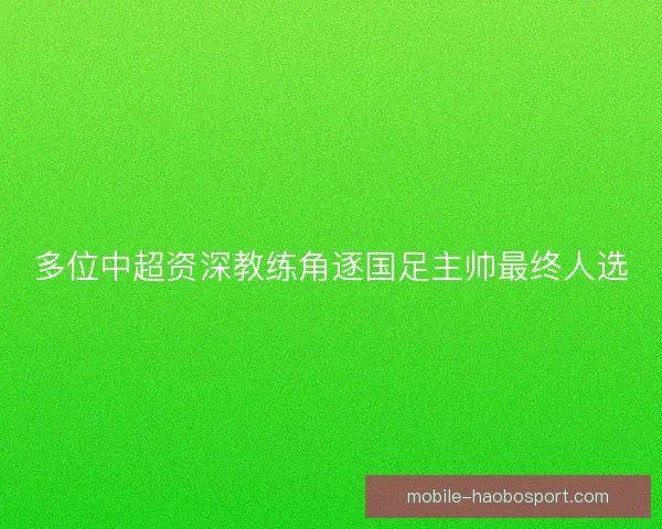 多位中超资深教练角逐国足主帅最终人选 多位中超资深教练角逐国足主帅最终人选