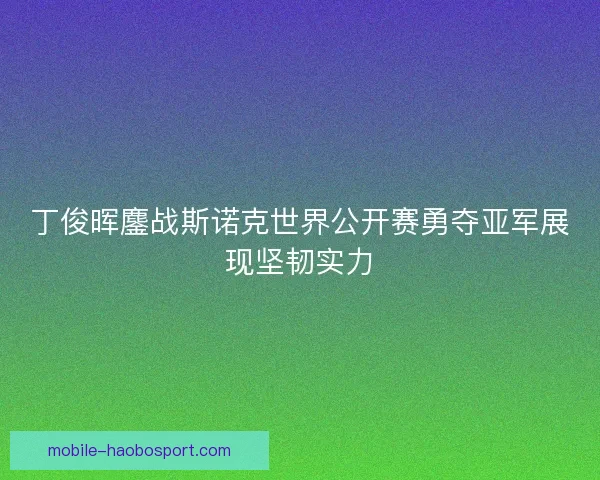 丁俊晖鏖战斯诺克世界公开赛勇夺亚军展现坚韧实力 丁俊晖鏖战斯诺克世界公开赛勇夺亚军展现坚韧实力